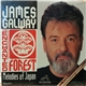 James Galway • Hiro Fujikake - The Enchanted Forest (Melodies Of Japan)